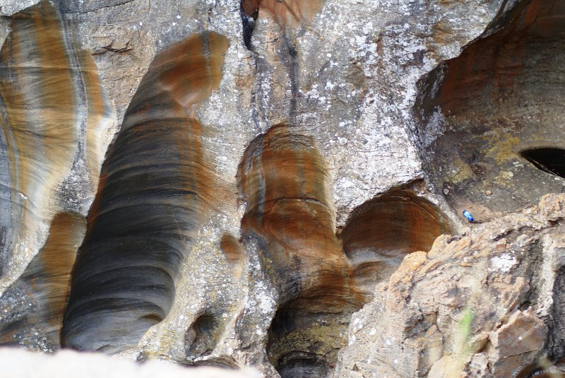 AMO (81).JPG